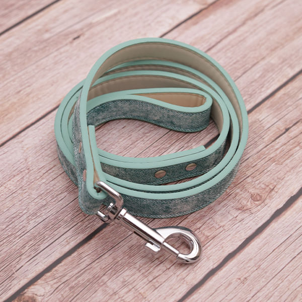 Correa Verde para Mascotas - Talla M