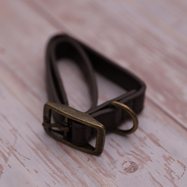 Collar para Mascotas Marrón - Talla L