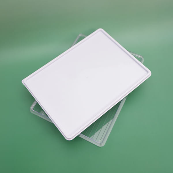 Caja de Plástico Para Alimentos 2000 ml