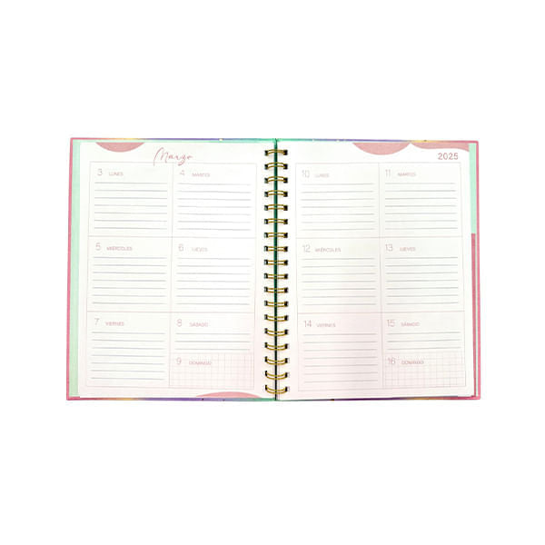 Brief Planner Dgnottas 2025